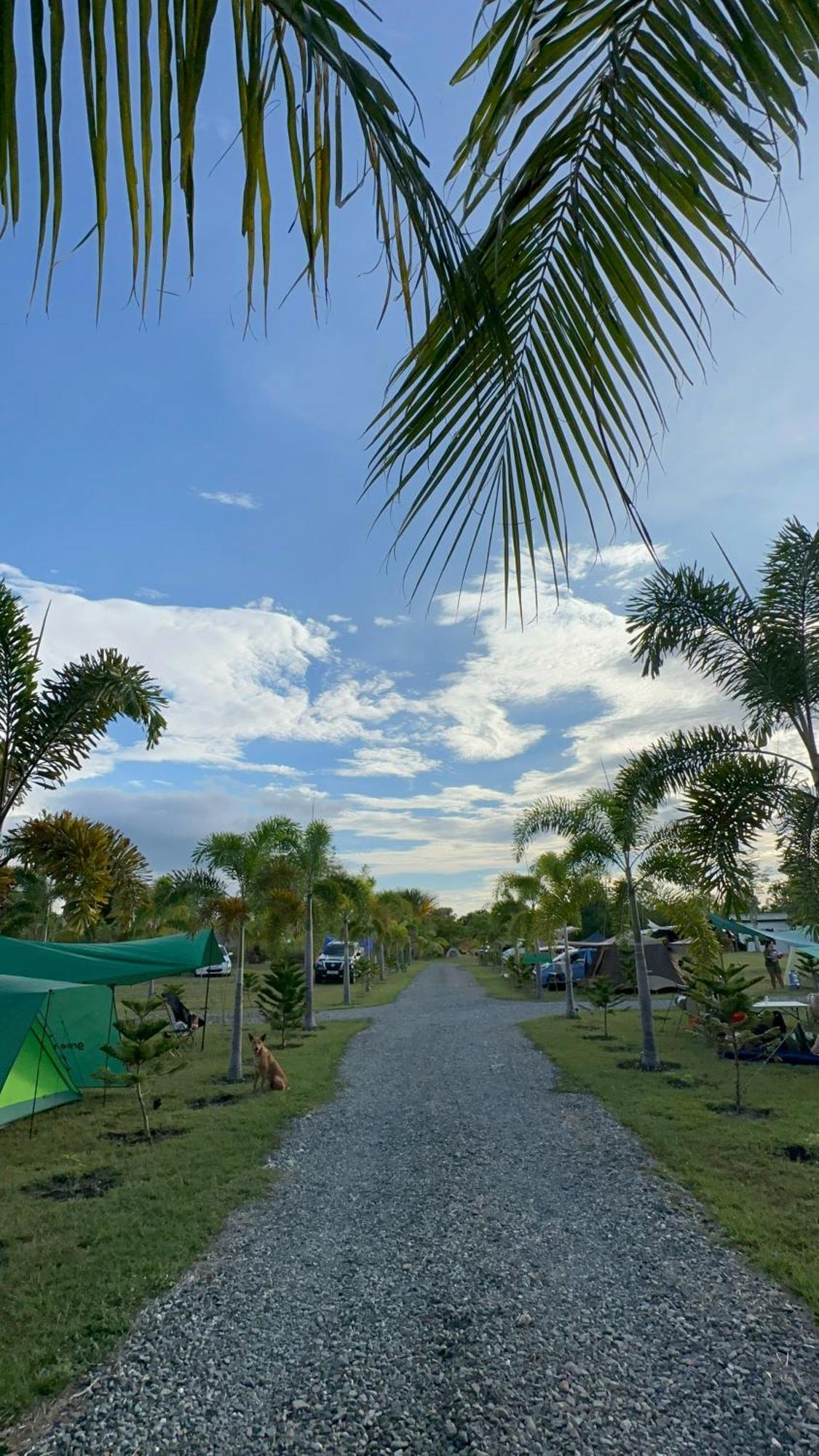 Green Acres Village Moalboal Exterior photo